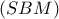 \left( {SBM} \right)