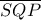 \overline {SQP} 