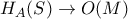 H_{A}(S)\rightarrow O(M)