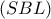 \displaystyle \left( {SBL} \right)