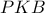 PKB