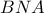  BNA