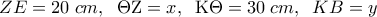 \displaystyle{ZE = 20\;cm,\;\;\Theta {\rm Z} = x,\;\;{\rm K}\Theta  = 30\;cm,\;\;KB = y}