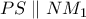 PS \parallel NM_{1}