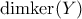 \text{dimker}(Y)