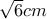 \sqrt{6} cm