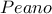 \displaystyle{Peano}
