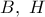 B,\ H