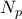 N_p