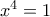 x^4 = 1