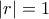 |r|=1