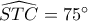 \widehat {STC} = 75^\circ 