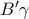 B'\gamma