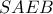 SAEB