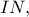 IN,