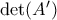 \det(A')