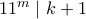 11^m\mid k+1