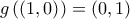 g\left( \left( 1,0\right) \right) =\left( 0,1\right) 