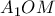 A_{1}OM