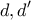 \displaystyle{ d, d' }