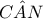 C\hat AN C\hat AN