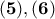 {\bf (5),(6)}
