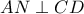AN \perp CD