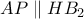 AP\parallel H{{B}_{2}}