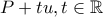P+tu,t\in \mathbb{R}