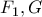 F_1, G