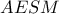 \displaystyle{AESM}