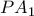 PA_1