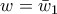 \displaystyle{w={{\bar{w}}_{1}}}