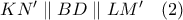 KN'\parallel BD\parallel LM'\ \ \ (2) KN'\parallel BD\parallel LM'\ \ \ (2)