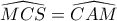 \widehat{MCS}=\widehat{CAM}
