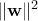 \|\mathbf{w}\|^2
