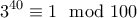 \displaystyle{3^{40}\equiv 1\mod 100}