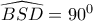 \widehat{BSD}=90^0