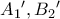 A_1{'} ,B_2{'}