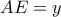 AE = y