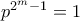 p^{2^{m}-1}=1