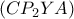 (CP_{2}YA)