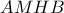 \displaystyle{ 
AMHB 
}