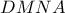 DMNA