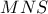MNS