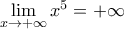 \underset{x\to +\infty }{\mathop{\lim }}\,{{x}^{5}}=+\infty