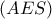 (AES)