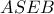 ASEB