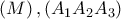 \displaystyle{ 
\left( M \right),\left( {A_1 A_2 A_3 } \right) 
}