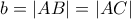 b=|AB|=|AC|